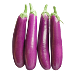 Long Brinjal