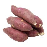 Sweet Potato