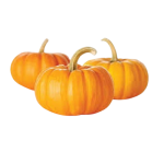 Yellow Pumpkin